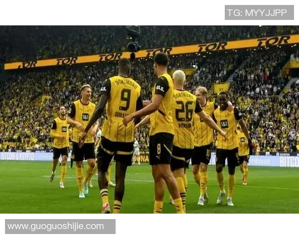 多特蒙德主场失利，积分榜下滑，德甲球队难掩困境