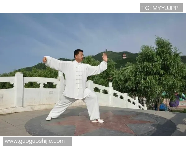 探索杨氏四十式太极拳的传统魅力与现代应用之道