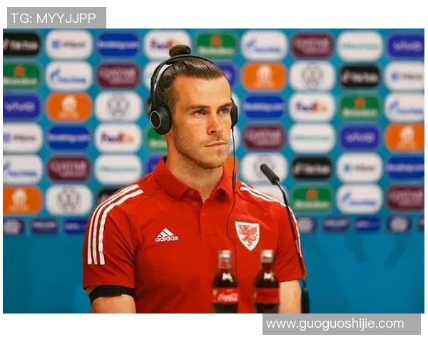 欧洲杯：威尔士队遗憾出局，满腔热血铸就绿茵传奇