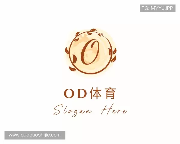 关于OD体育最新地址