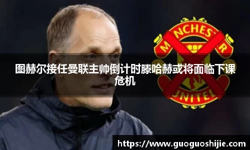 OD体育官网入口