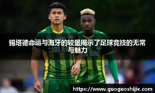 OD体育官网入口