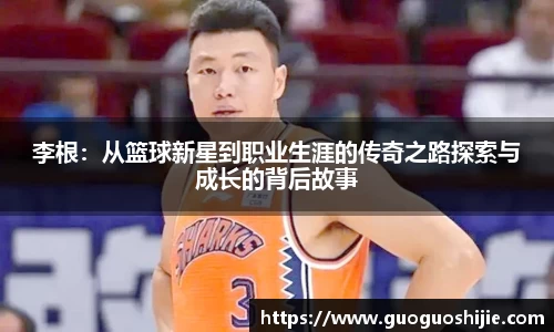 OD体育手机网页版登录